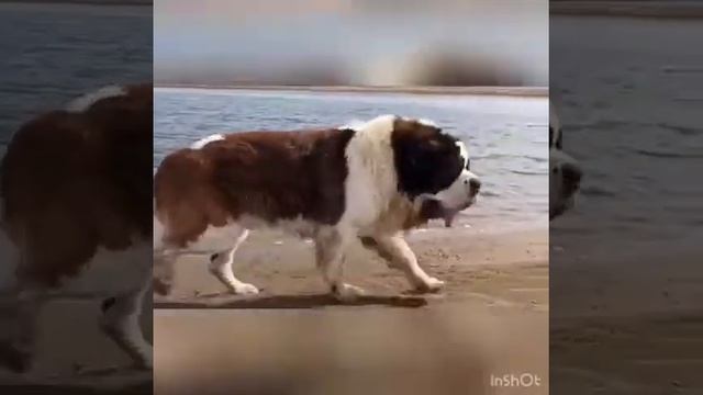 Поездка на Тепсей 2020