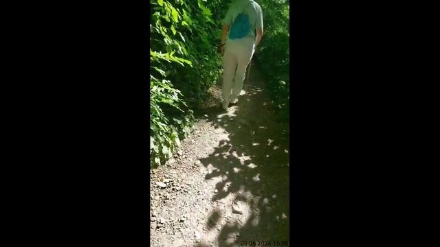 железная гора...