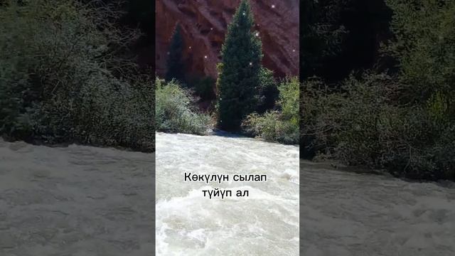 Fec1803de3b106c678e0d455a2d3346d