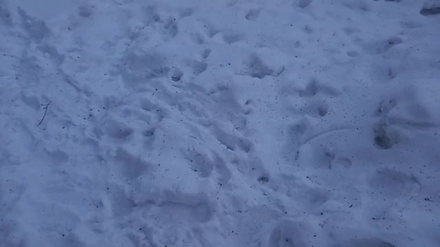 Обзор неизвестной никому таёжной воды.