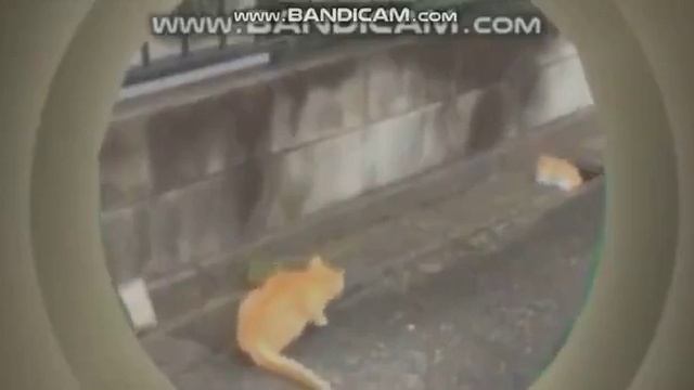 [ЭТО НАДО ВИДЕТЬ] в 2021 году Komputersem делал свои RYTP. Вот все его пупы за 2021 год