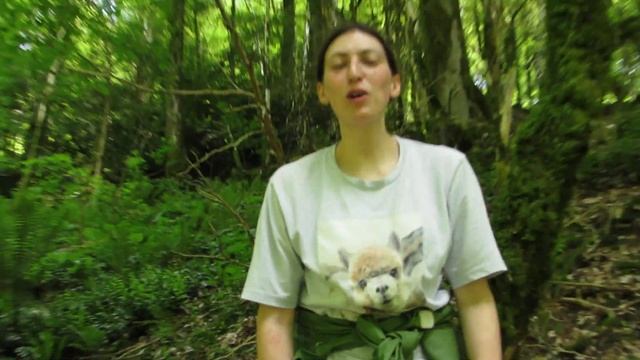 Уникальные исследования в Сочи