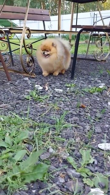 18 августа 2022 г.