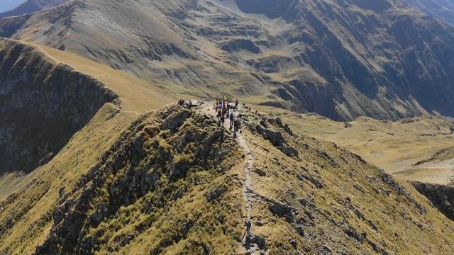 Молдовяну 1