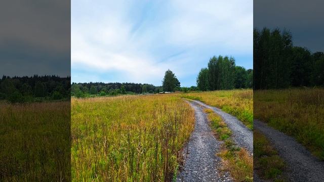 Тихо падает снег