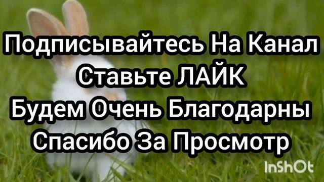 СНЕЖОК ИДЁТ