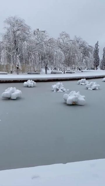 Краснодар засыпало снегом. Побиты все рекорды. В некоторых районах 70см высота сугробов