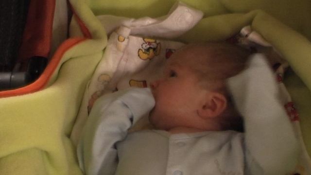 Mini02_14.05_25.07_2008