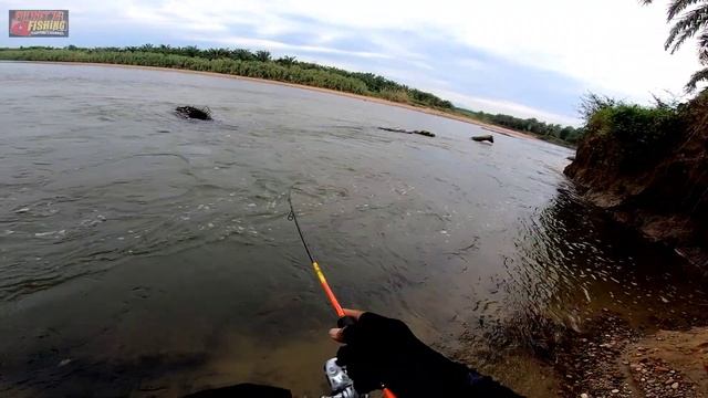 CASTING IKAN HAMPALA MONSTER DI SUNGAI BARUMUN MENGUNAKAN JORAN CAPUNG 622 Feat Ryobi Smap Mini 800