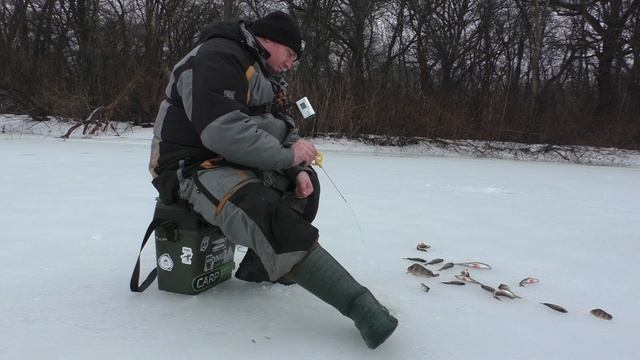 ГЛИБИНА 30 см. ОКУНЬ КЛЮЄ ЯК ДУРНИЙ!!!