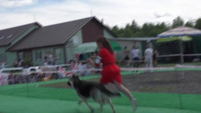 Расстановка