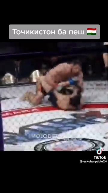 7a2646a05afb5a1be7125afe39c557fc