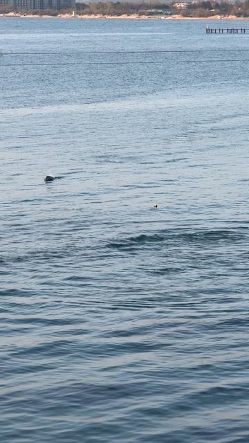 Анапа в мае