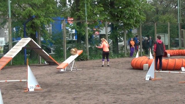 А3 Small-1 Сергеева марина и шпиц Пушок