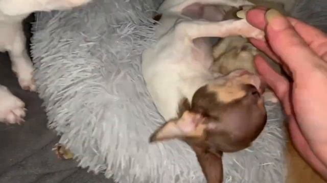 10854e7f7657dbce4a16d867de895ac9