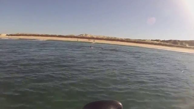 Nobbys Fun SUP Surf Session