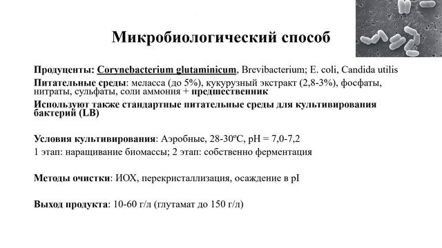 Биотехнология аминокислот. Основные принципы. Производство глутаминовой кислоты