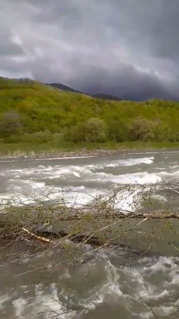 Ca6863dad11d23031f62494d6bf082e6