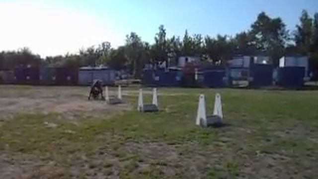 Af7e3d8112b05c70ab31ad69cdaf55aa