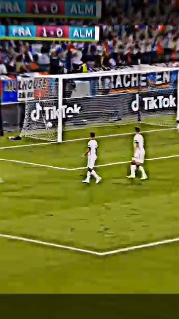 3e40369241f4b0eac35a68e590638dbc