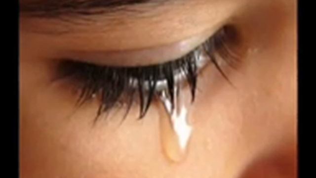 3828966a74dab0112af4ef9ab919e427