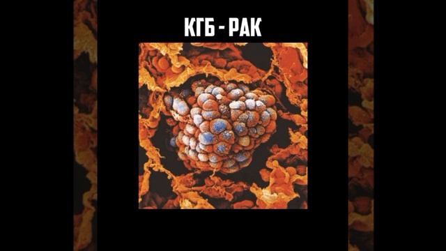 КГБ - МЫ МЕРТВЫ (АЛЬБОМ - РАК)