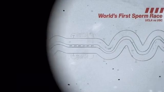 34af32a725dafae706ceae964e411b0c