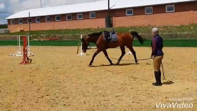 Кассиус корда