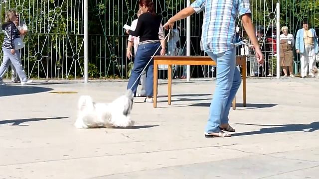 сравнение юниоров