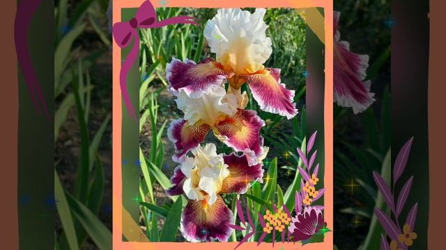 Fbcc396163890fd9c2f6b0f25cee5cf5