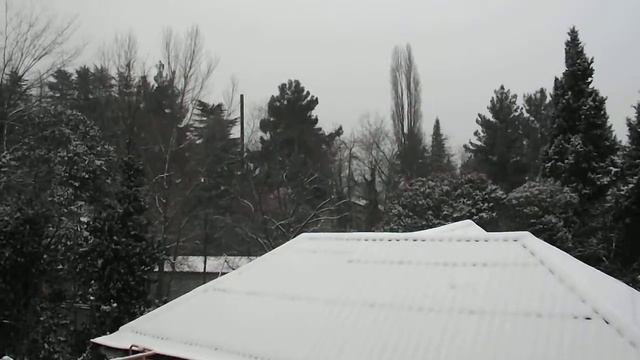 29.01.2017 Первый Снег в Лазаревском