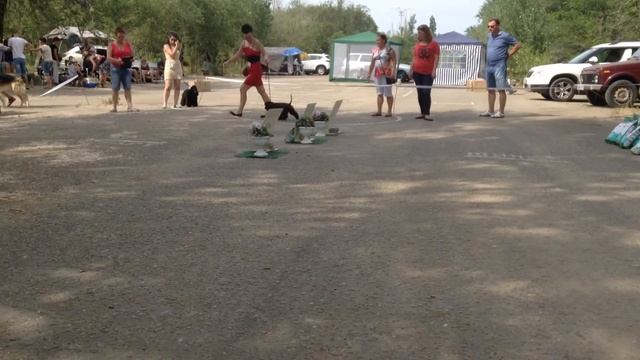 2015.06.21 Волгоград. Ам.кокер-ЛБ