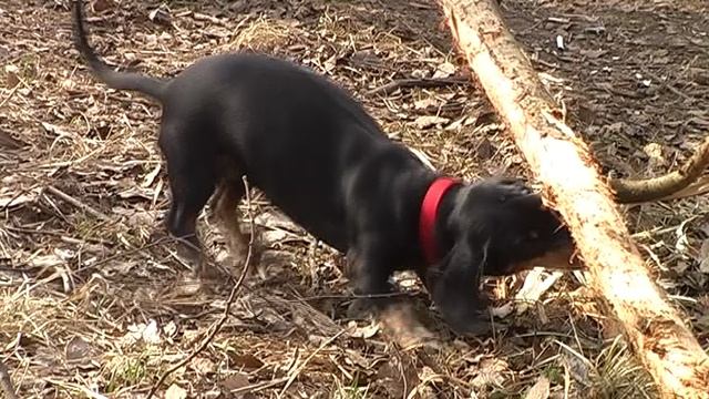 Mini01_06.04_12.05_2008