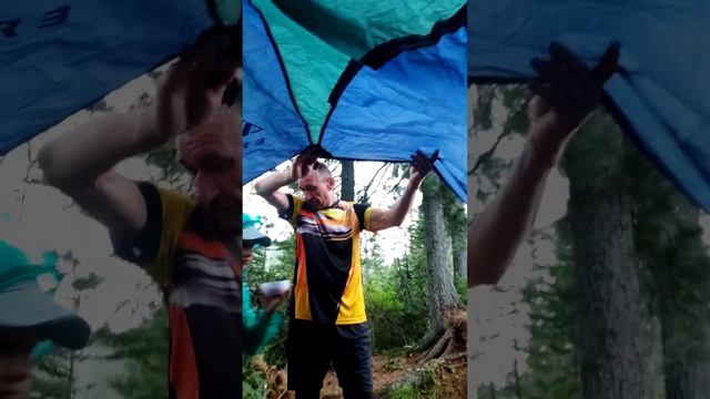 F81d56aaf79634a8592ac1f03c5eb34c