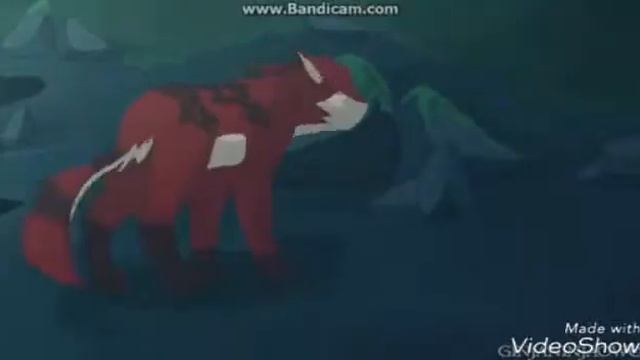 Коты Воители. Первое видео .