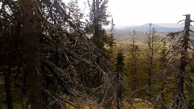 Ямантау за нами!