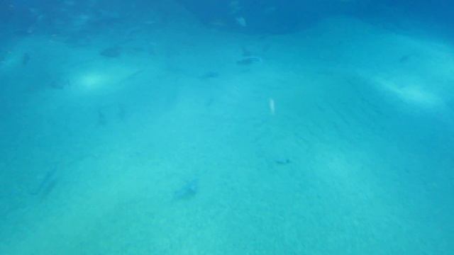 197153b220f5905b420ca1c1b5d00071