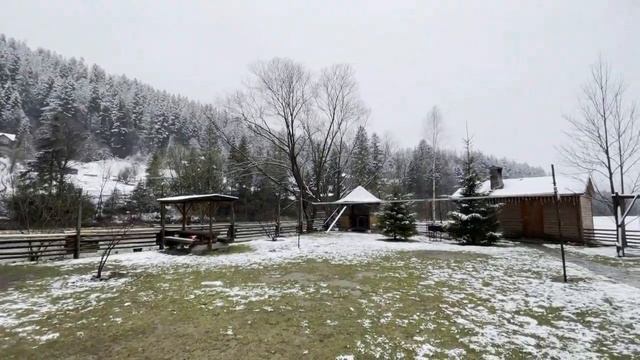 Сніг на голову, весна у Карпатах
