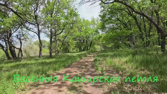 Каширская петля