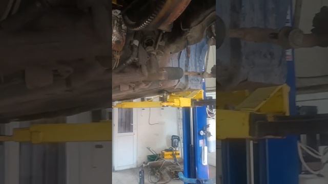 Reality-Defying Visual Frenzy