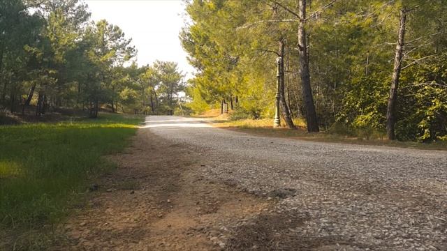 Volvo 854R Sleeper Saloon
