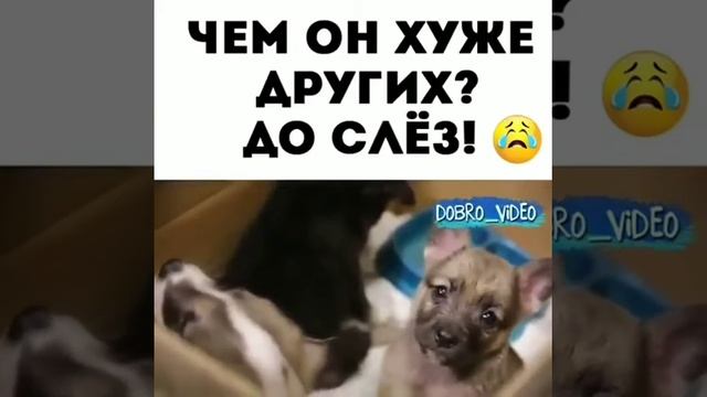 Очень доброе видео!!!