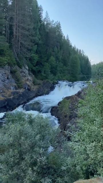 41b9b7612c7e9434fd6e1b4258914e8e