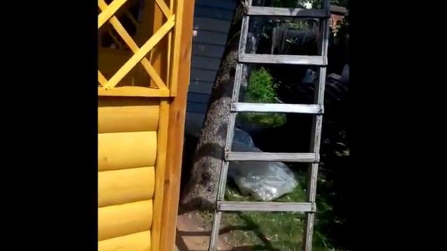 Моя первая беседка