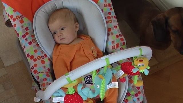 Mini03_25.07_03.09_2008