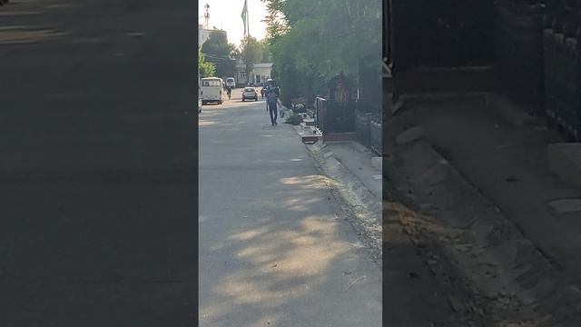 Ташкент кладбище Боткина выход