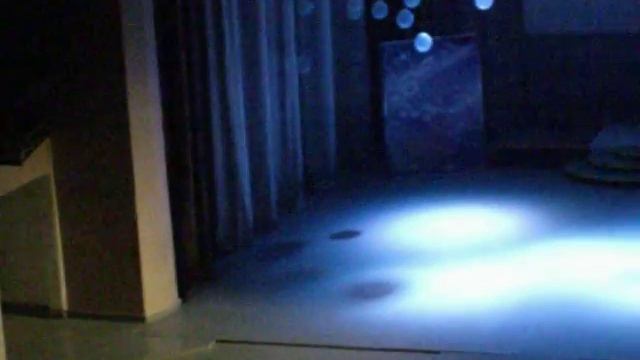 София Паутова, Екатерина Стадниченко, гр. 