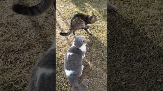 8ed1d6be3f61ba44db5db99343878f09