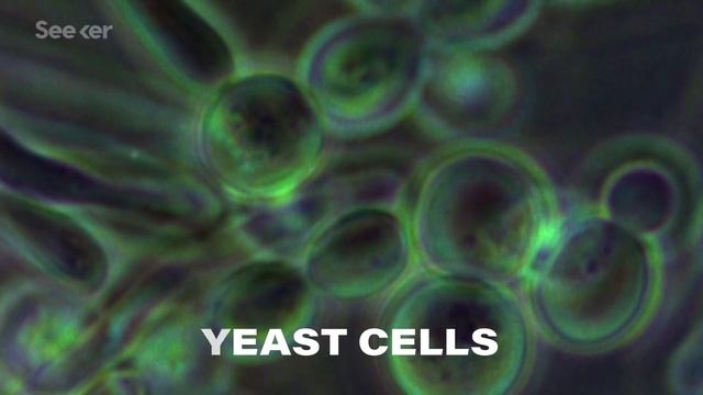 034f957653f84fe9505f53b6315fc070