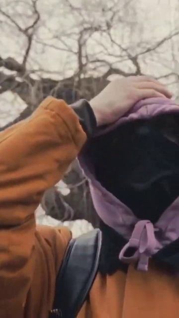 532defe961833b344c6c2f97dcc3c6c1